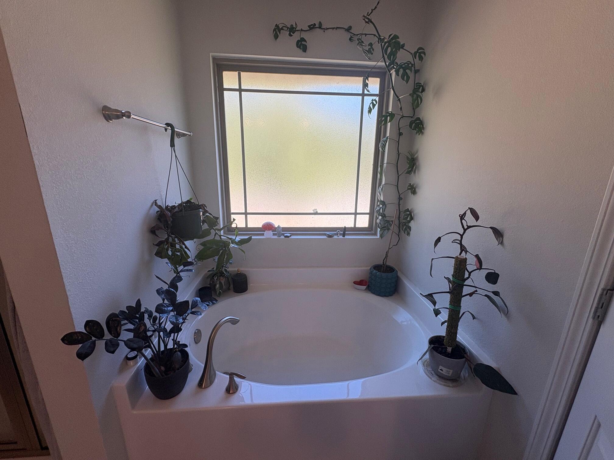 WILLOW CREEK PLANTATION - Residential Lease