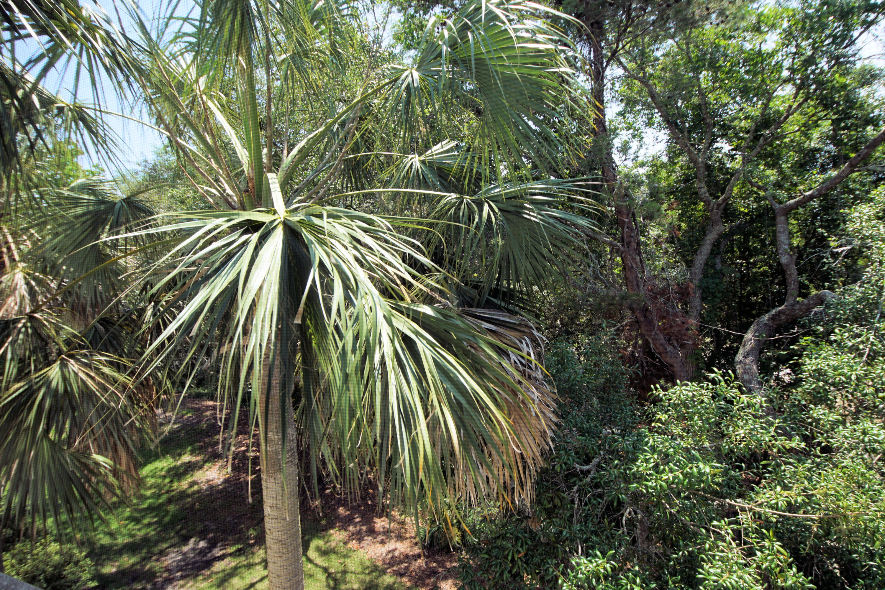 THE FLORIDA CLUB - Residential