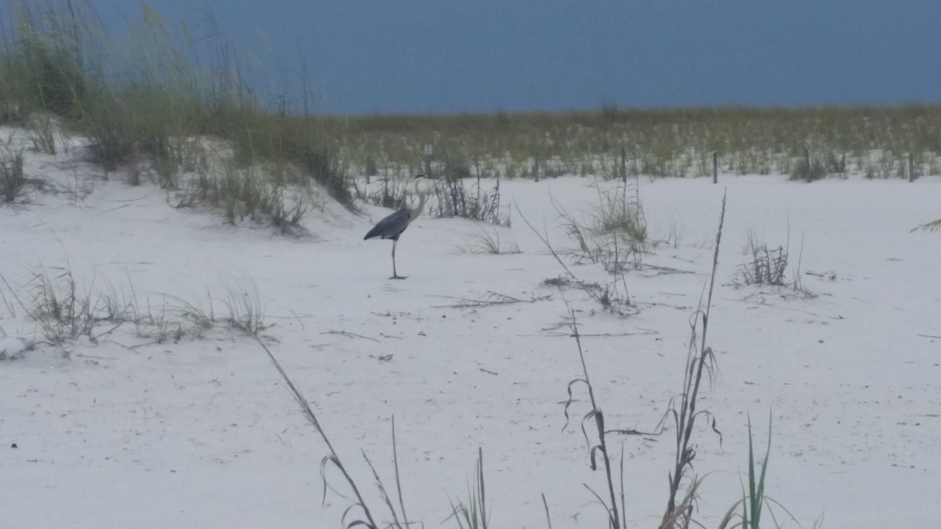 HIGHLAND PARKS - Residential