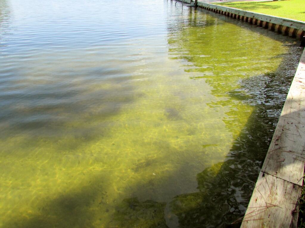 KIDD BAYOU OAKS - Residential