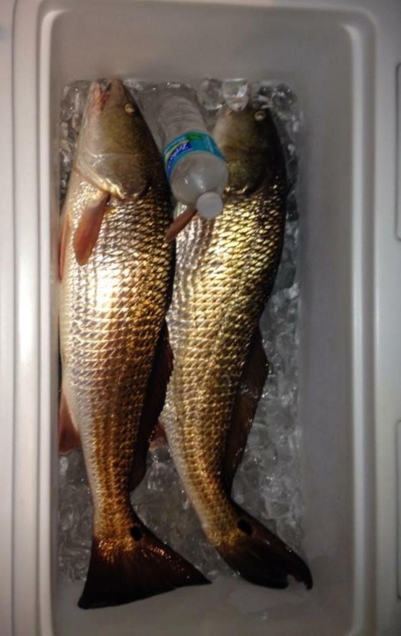 PIRATES BAY PH 1 - Residential