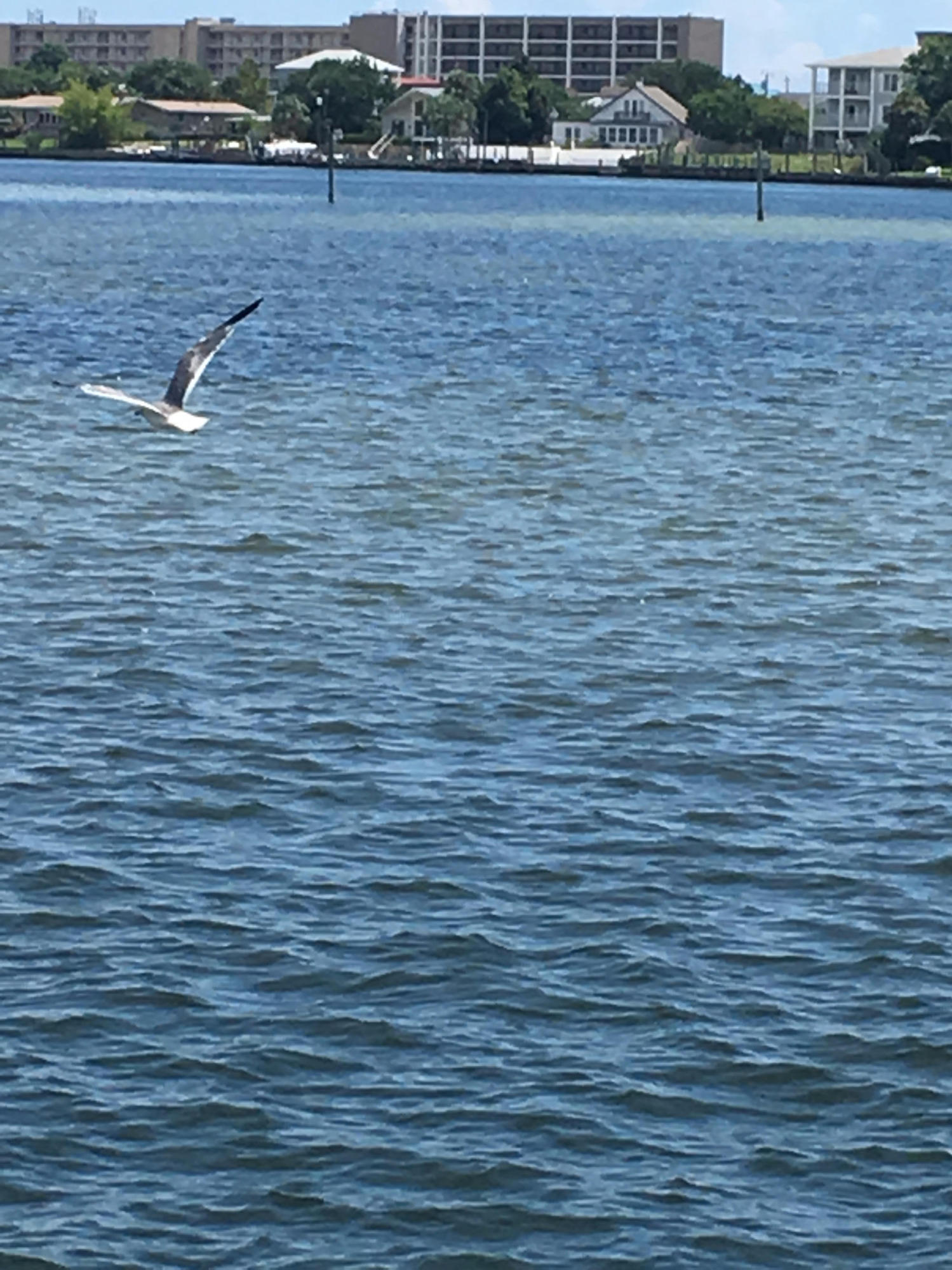 PIRATES BAY PH 1 - Residential