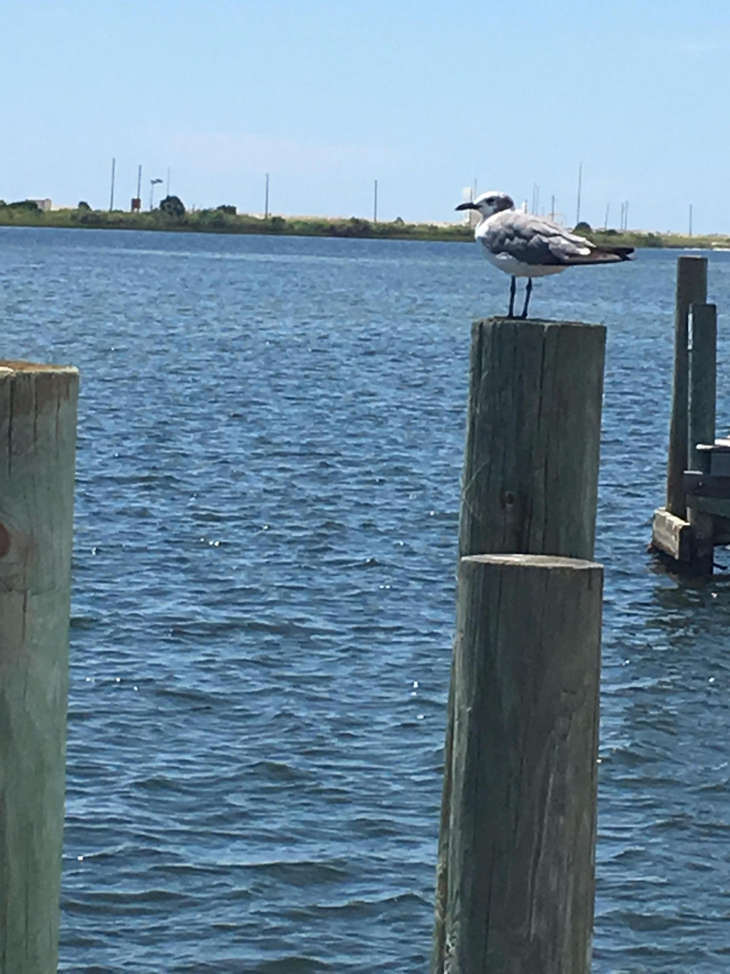 PIRATES BAY PH 1 - Residential