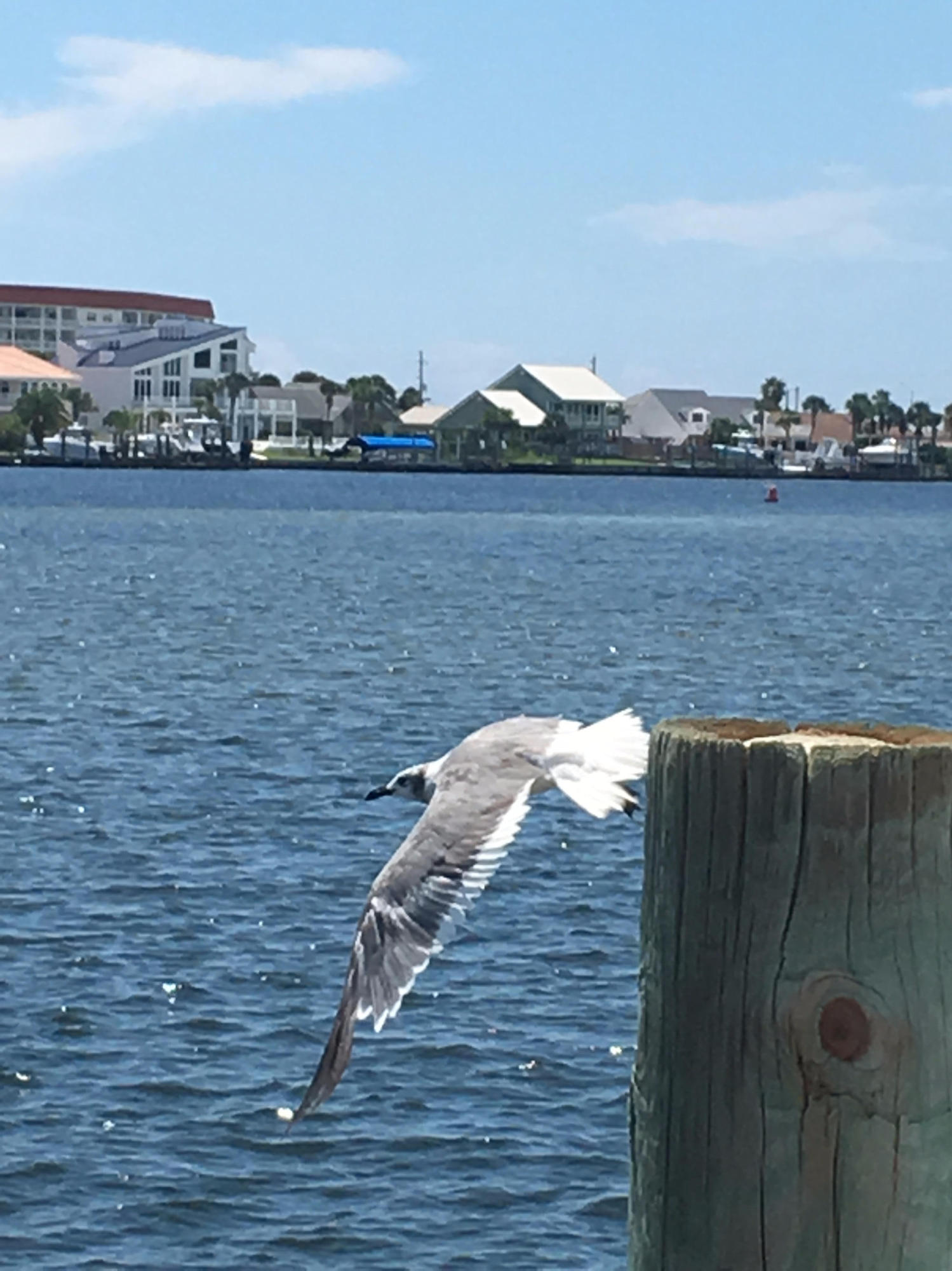 PIRATES BAY PH 1 - Residential