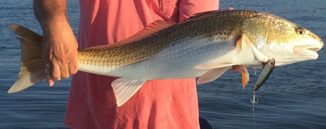 PIRATES BAY PH 1 - Residential