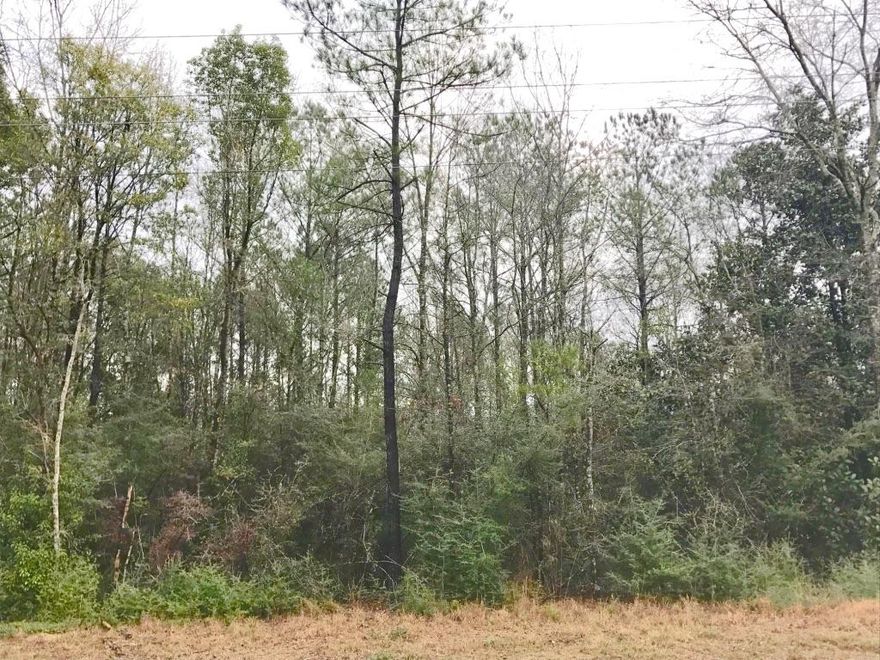36 wooded acres. Great location. Minutes to Wal-Mart, Lowes and Walgreens. Easy access to I-10 and the beaches of South Walton. Short term seller financing available with 20% down.