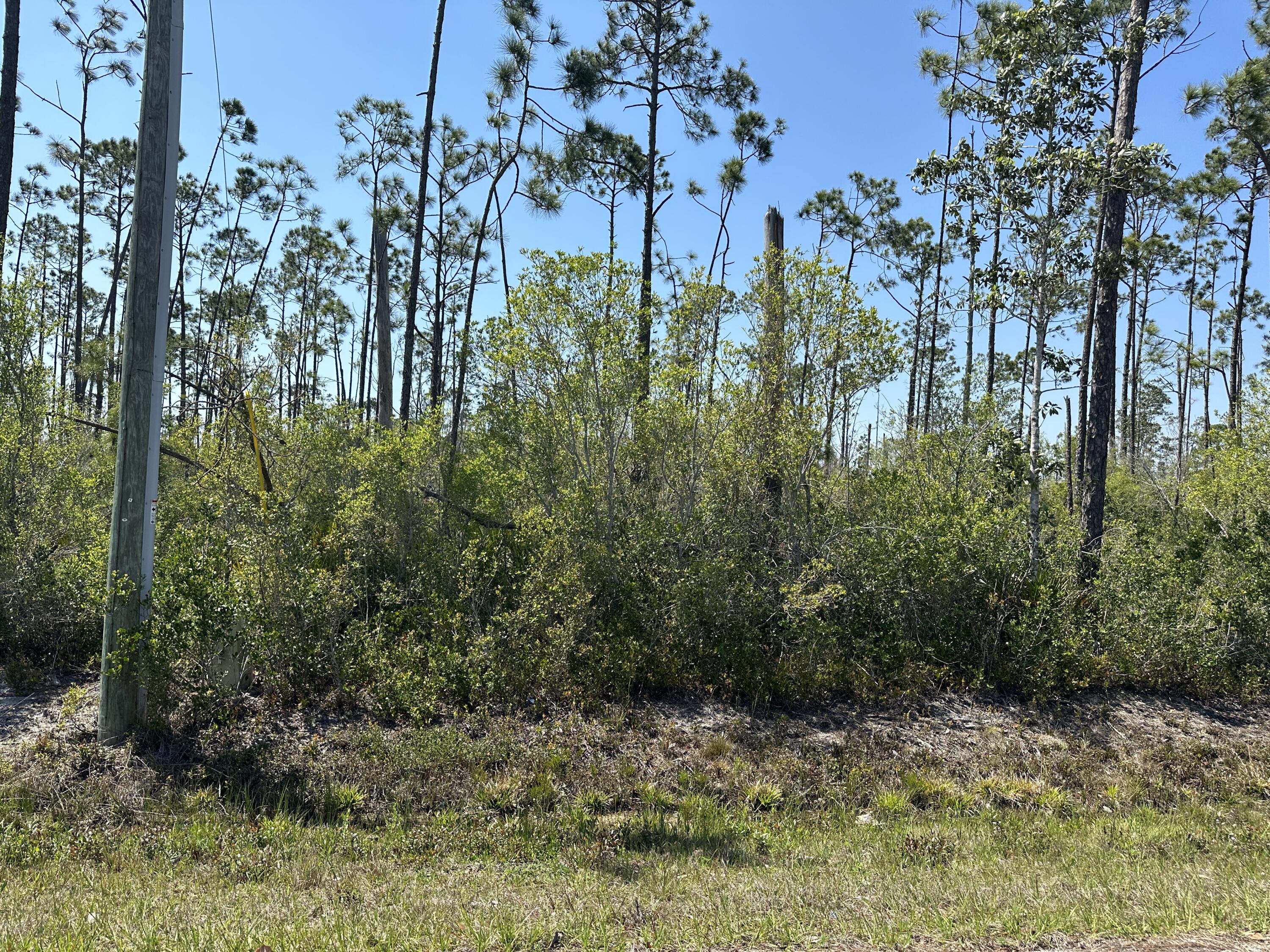 COME AND BUILD A BEAUTIFUL HOME ON 1/2 ACRE WOODED LOT. THE LOT IS NEAR FISHING ON EAST BAY, COOKS BAYOU, SANDY CREEK AND WEWA'S DEAD LAKES FOR YOUR FRESHWATER FISHERMAN. BOAT LAUNCHING IS AVAILABLE AT ALL THESE LOATIONS. PROPERTY HAS ALL PAVED ROADS, UNDERGROUND ELECTRIC BUT SEPTIC TANK AND WATER WELL NEEDDED. ELEVATION 9'5'.