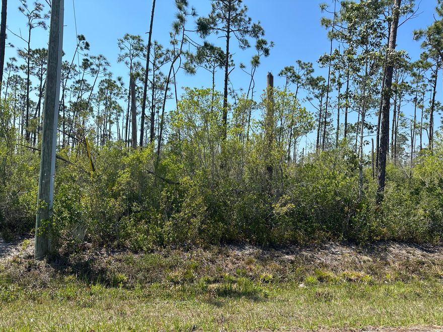 COME AND BUILD A BEAUTIFUL HOME ON 1/2 ACRE WOODED LOT.  THE LOT IS NEAR FISHING ON EAST BAY, COOKS BAYOU, SANDY CREEK AND WEWA'S DEAD LAKES FOR YOUR FRESHWATER FISHERMAN.  BOAT LAUNCHING IS AVAILABLE AT ALL THESE LOATIONS.  PROPERTY HAS ALL PAVED ROADS, UNDERGROUND ELECTRIC BUT SEPTIC TANK AND WATER WELL NEEDDED.  ELEVATION 9'5'.