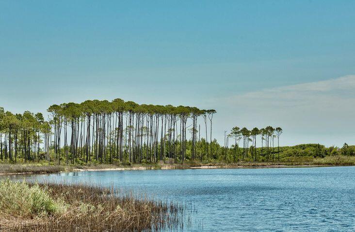 WaterColor - Residential