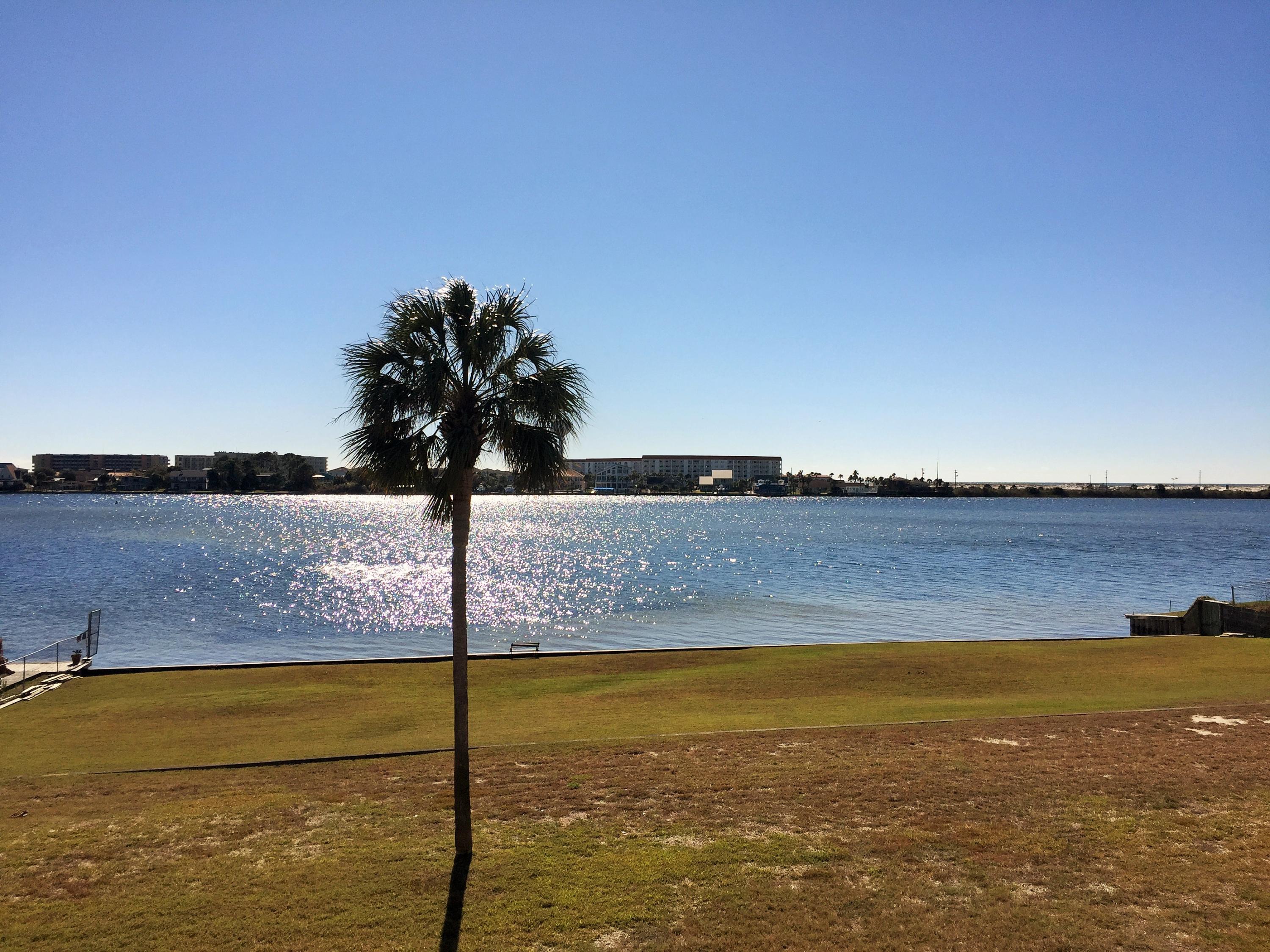 SEA PALM CONDO - Residential