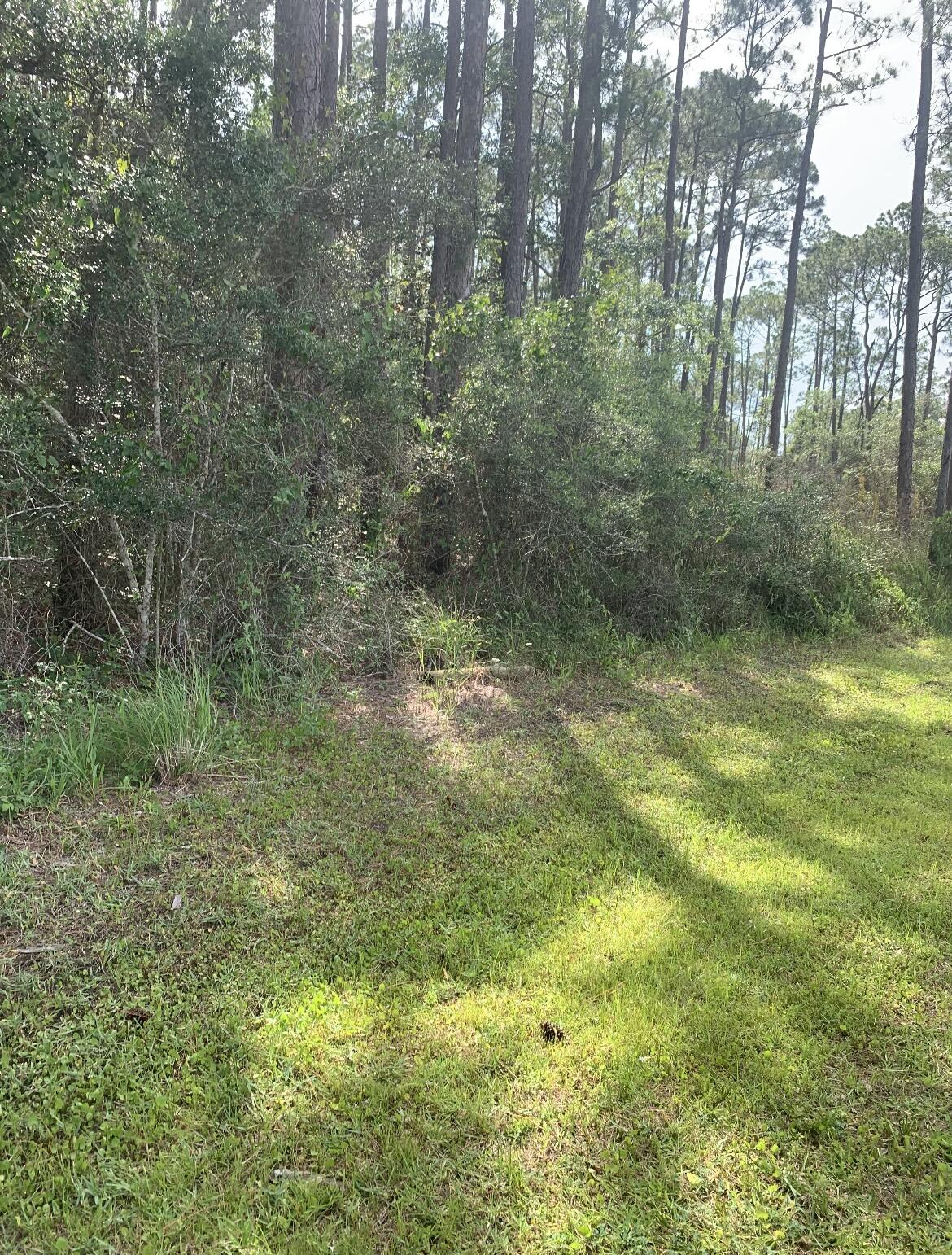 WHISPERING PINES - Land