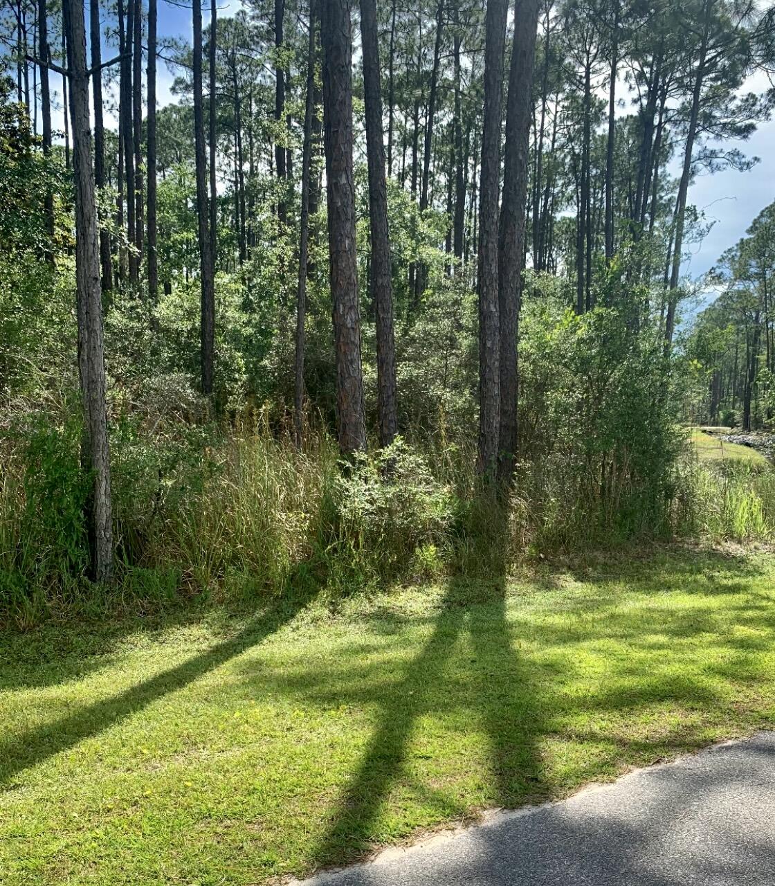 Great Opportunity to build your dream home, or spec home on this 3 quarter of an acre. level, Bay view lot in the heart of desirable Santa Rosa Beach! Imagine the Bay breezes from your front porch or balcony!  Convenient to boat launches, restaurants, beaches, shopping along scenic 30-A and more! No HOA! No build out time. Bring your builder and make living on the beautiful Emerald Coast a reality on this prime lot in this gorgeous location!