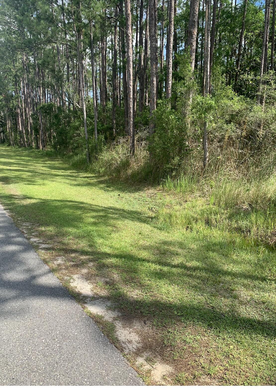 WHISPERING PINES - Land