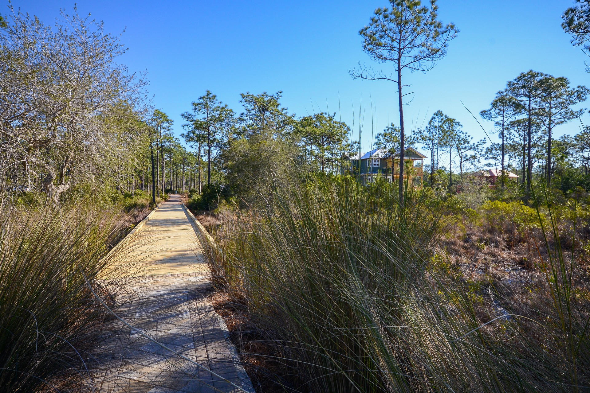 NATUREWALK AT SEAGROVE - Residential