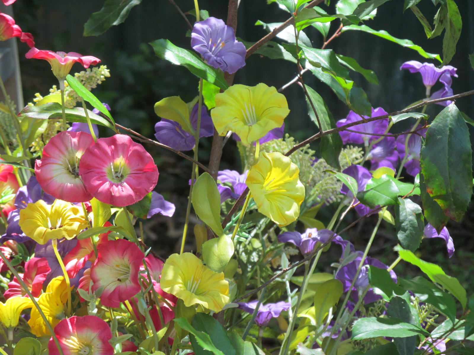 TOWN OF DEFUNIAK SPRINGS - Residential