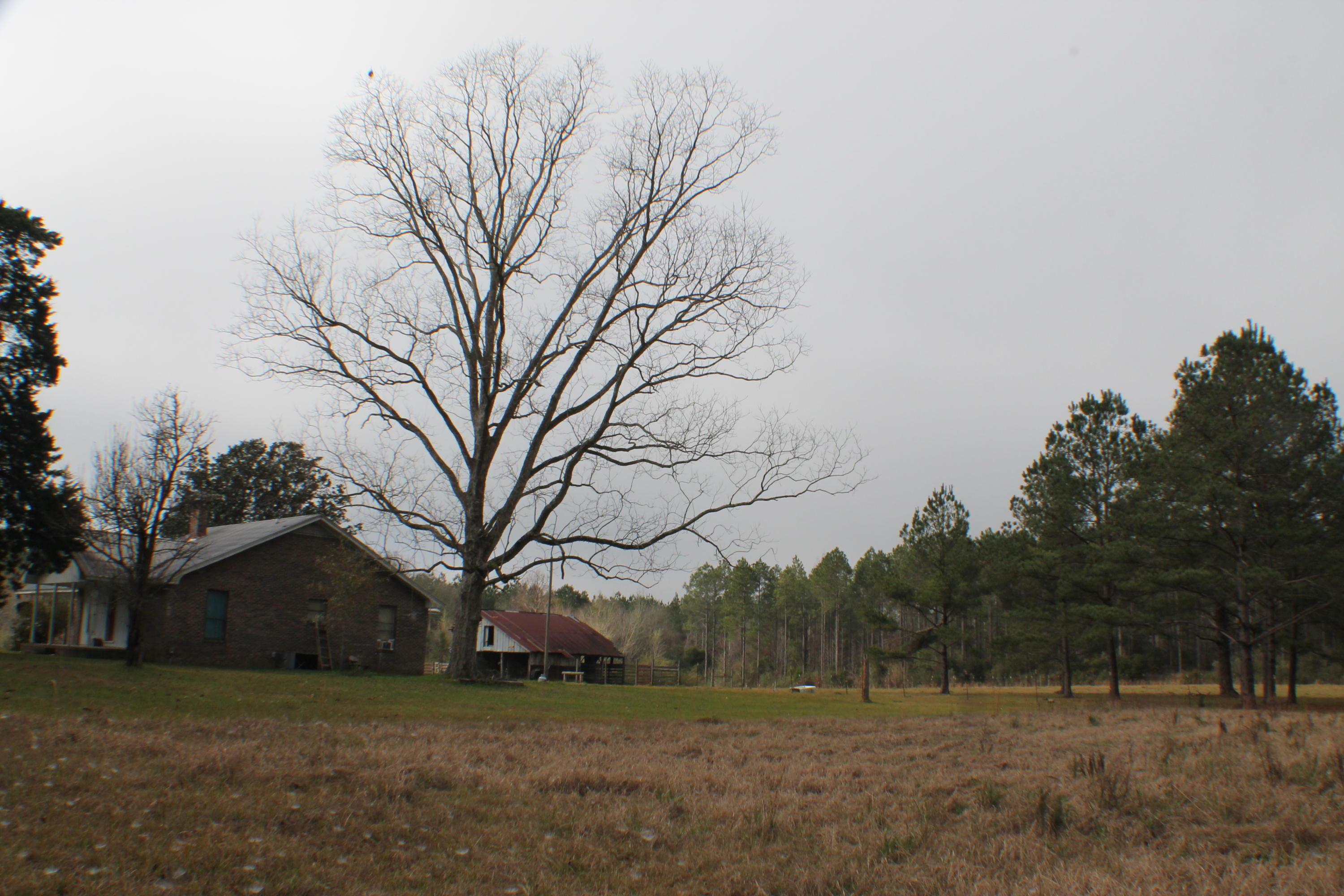 ESCAMBIA FARMS - Residential