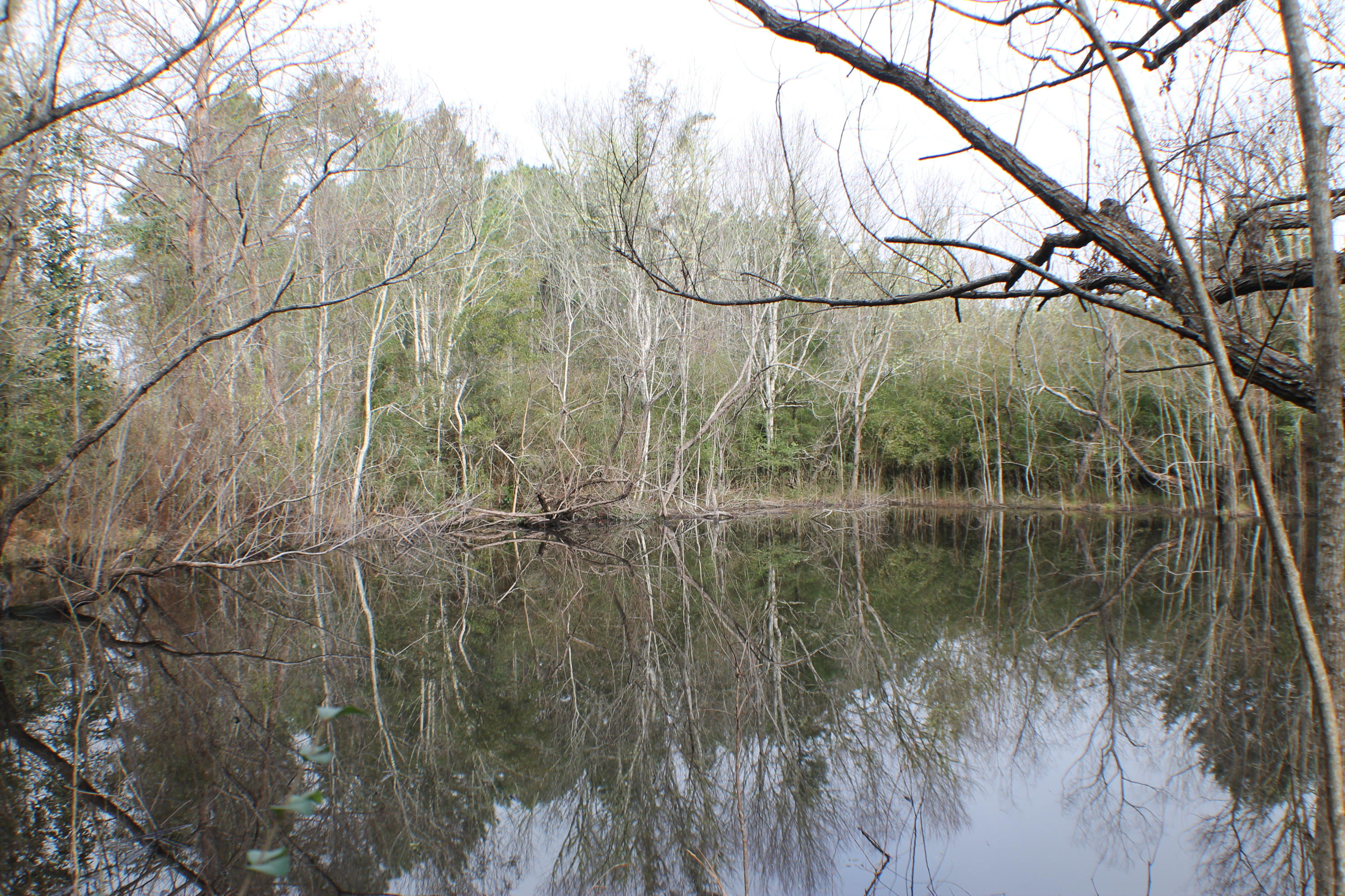 ESCAMBIA FARMS - Residential