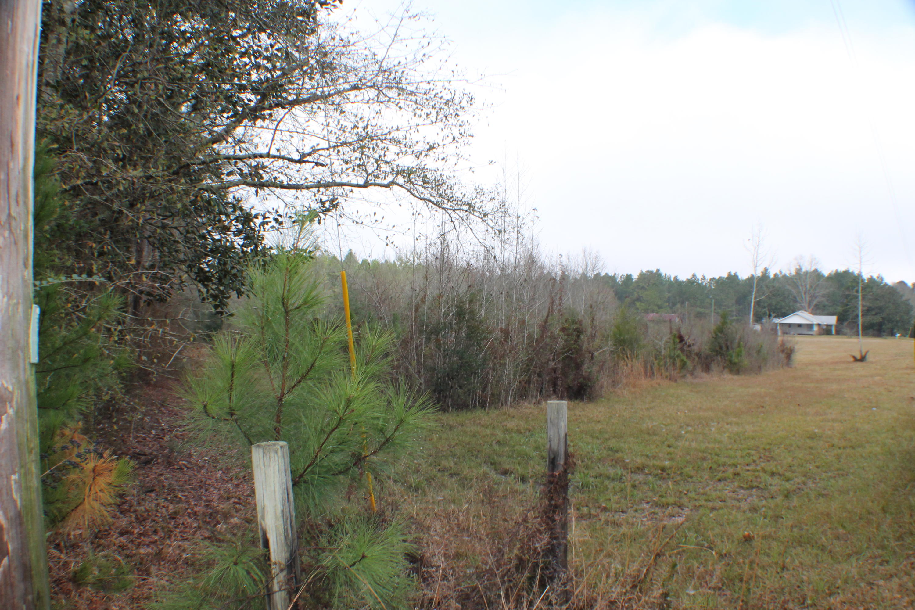 ESCAMBIA FARMS - Residential