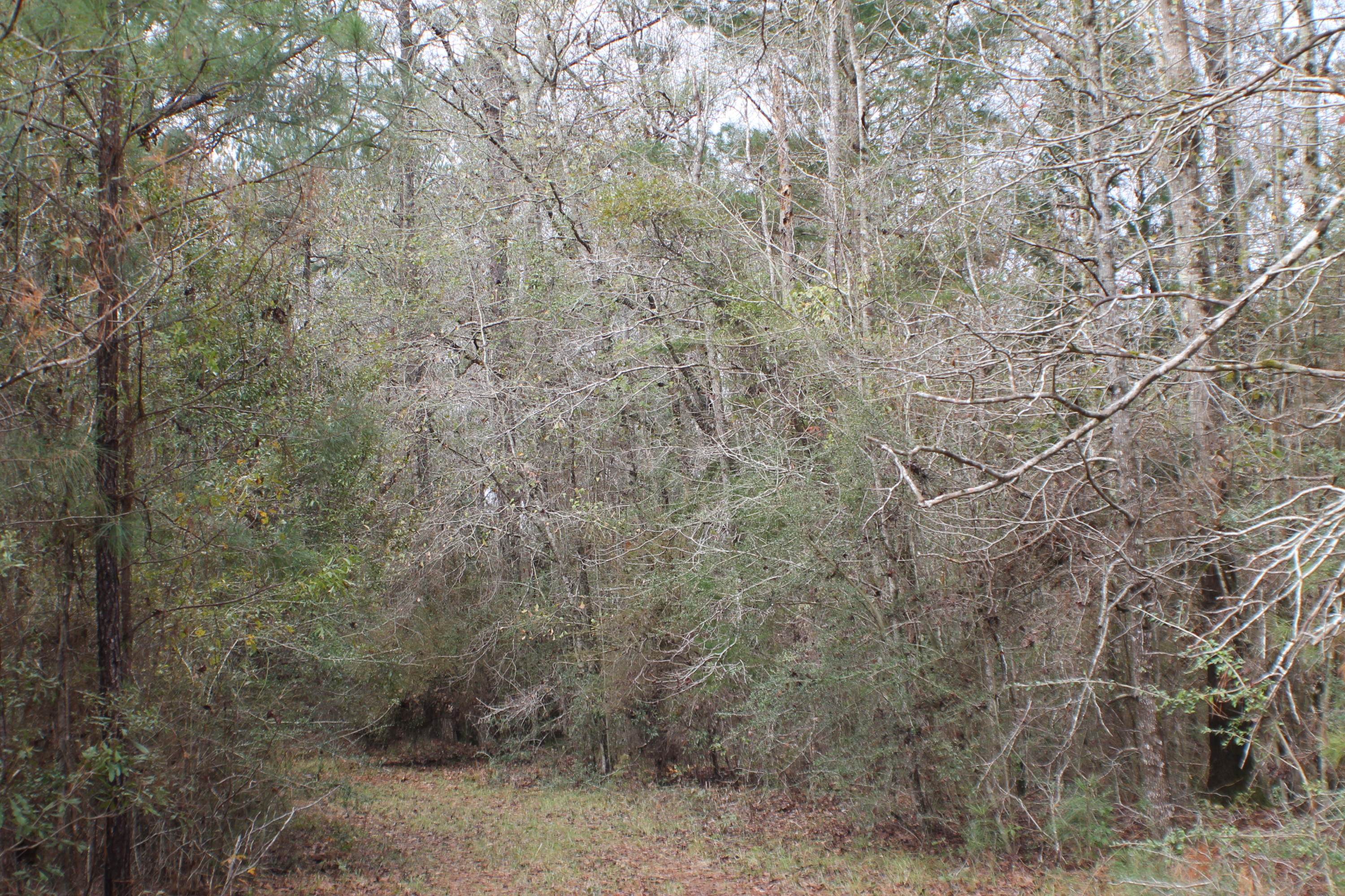 ESCAMBIA FARMS - Residential