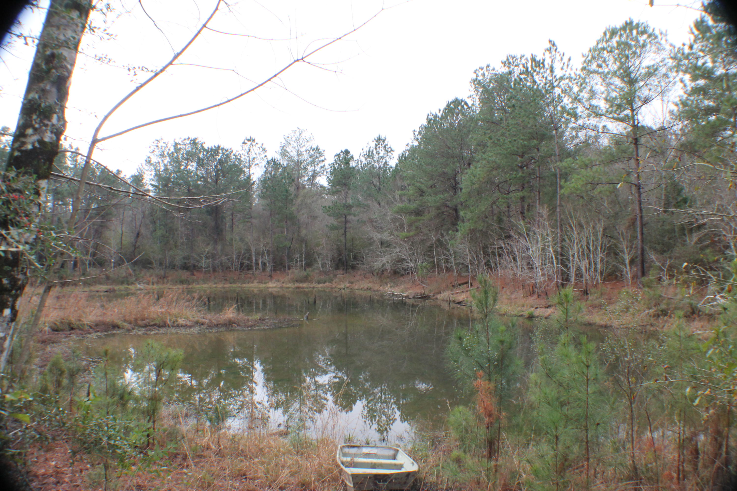 ESCAMBIA FARMS - Residential