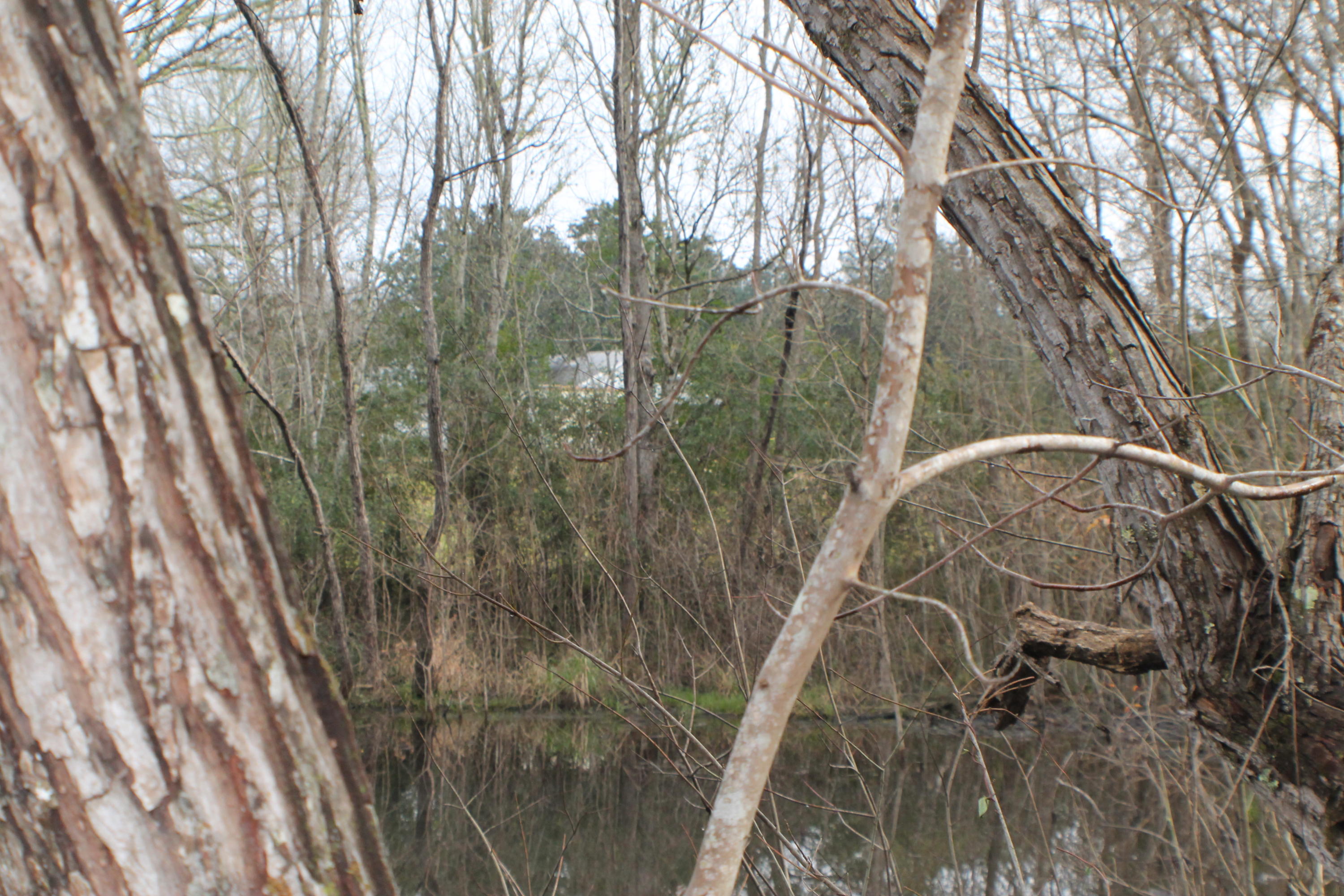 ESCAMBIA FARMS - Residential