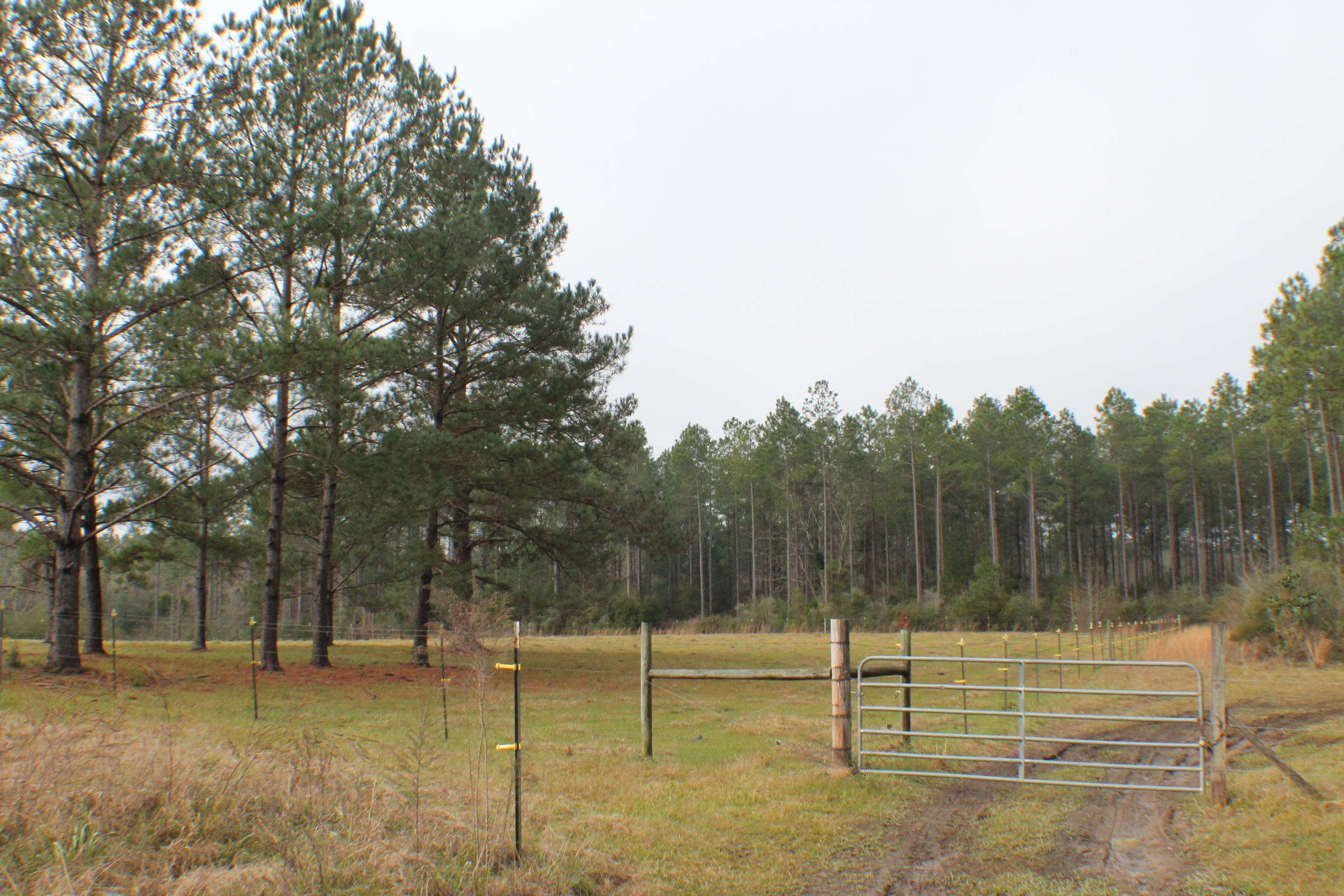 ESCAMBIA FARMS - Residential