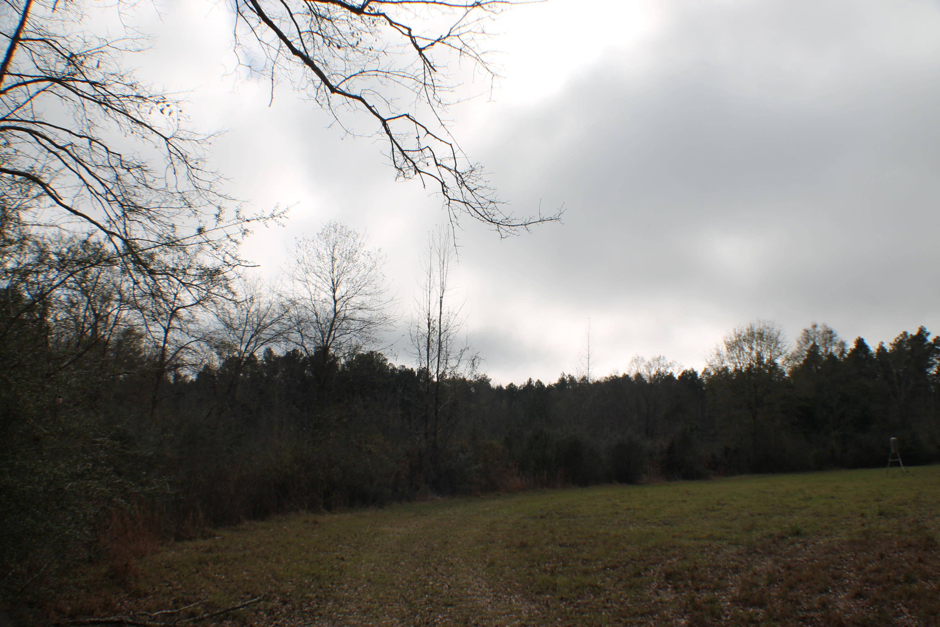 ESCAMBIA FARMS - Residential