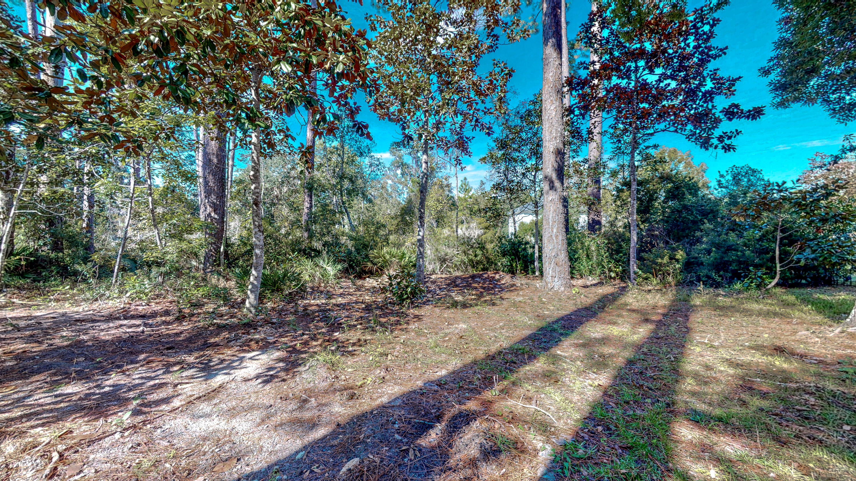 SACRED OAKS PH 1 - Residential