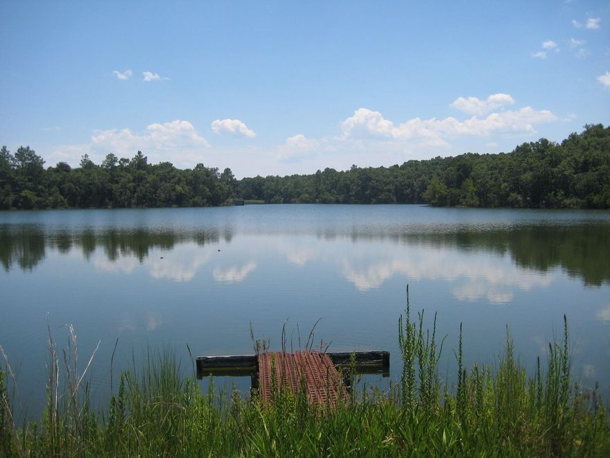 This is one of the most desirable and pristine tracts of land in Walton County! This magnificent 80 acres has a Spring fed 20 acre lake situated directly in the center of the tract. This beautiful clear lake is loaded with bass, bream and shell crackers and has been a fishing paradise for over 50 years! The lake is surrounded by majestic oaks and magnolia trees with many large Long Leaf Pine trees scattered over the property. This 80 acre tract also boarders on Juniper Lake, a large 700 acre fishing and boating mecca in the Panhandle of Florida. There is several hundred feet of common boundary allowing the owner access to this large body of water in addition to your own private 20 acre lake! There is a boat house for 4 boats with power and a large concrete picnic table for cookouts!