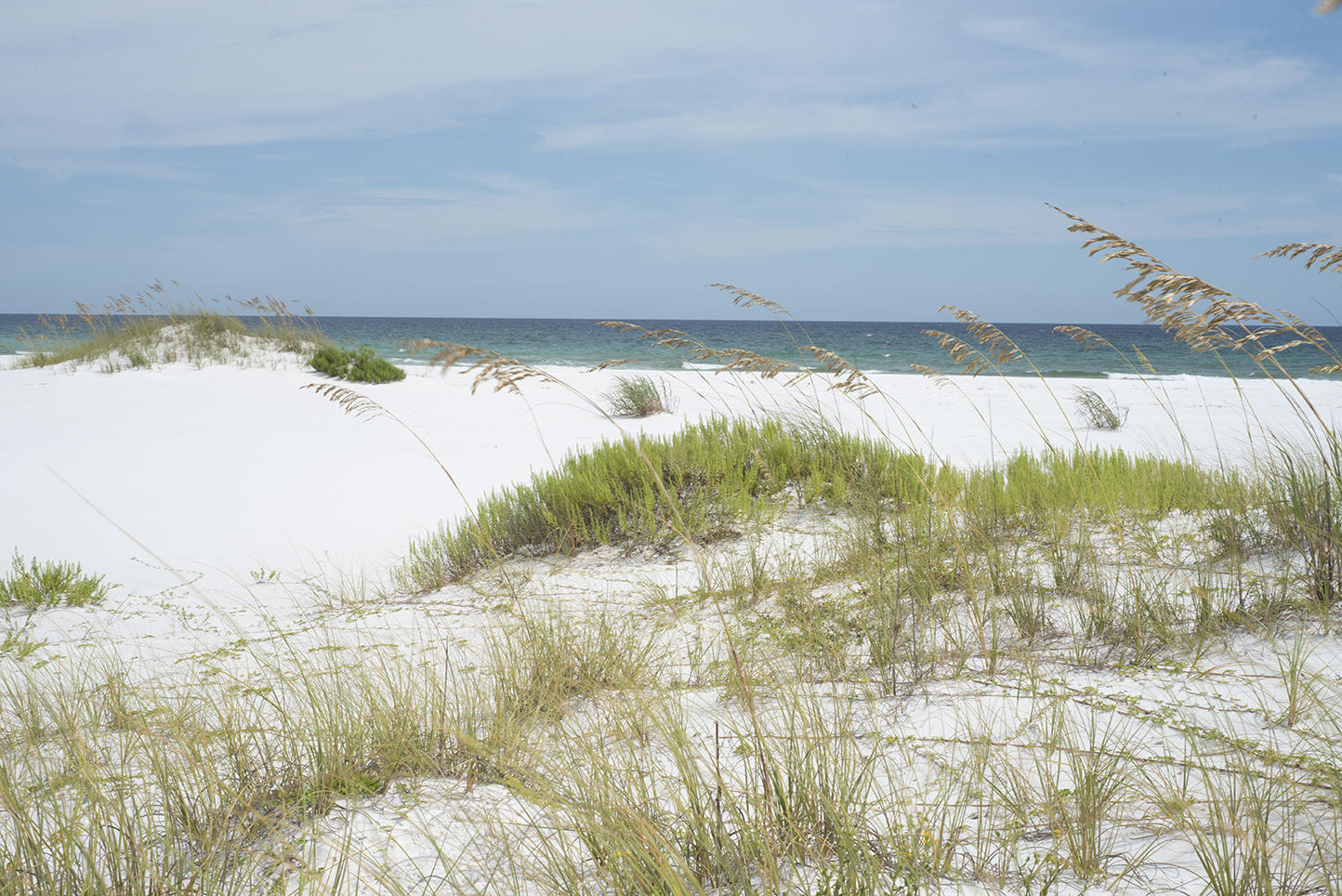 IVALEA GARDENS - Residential