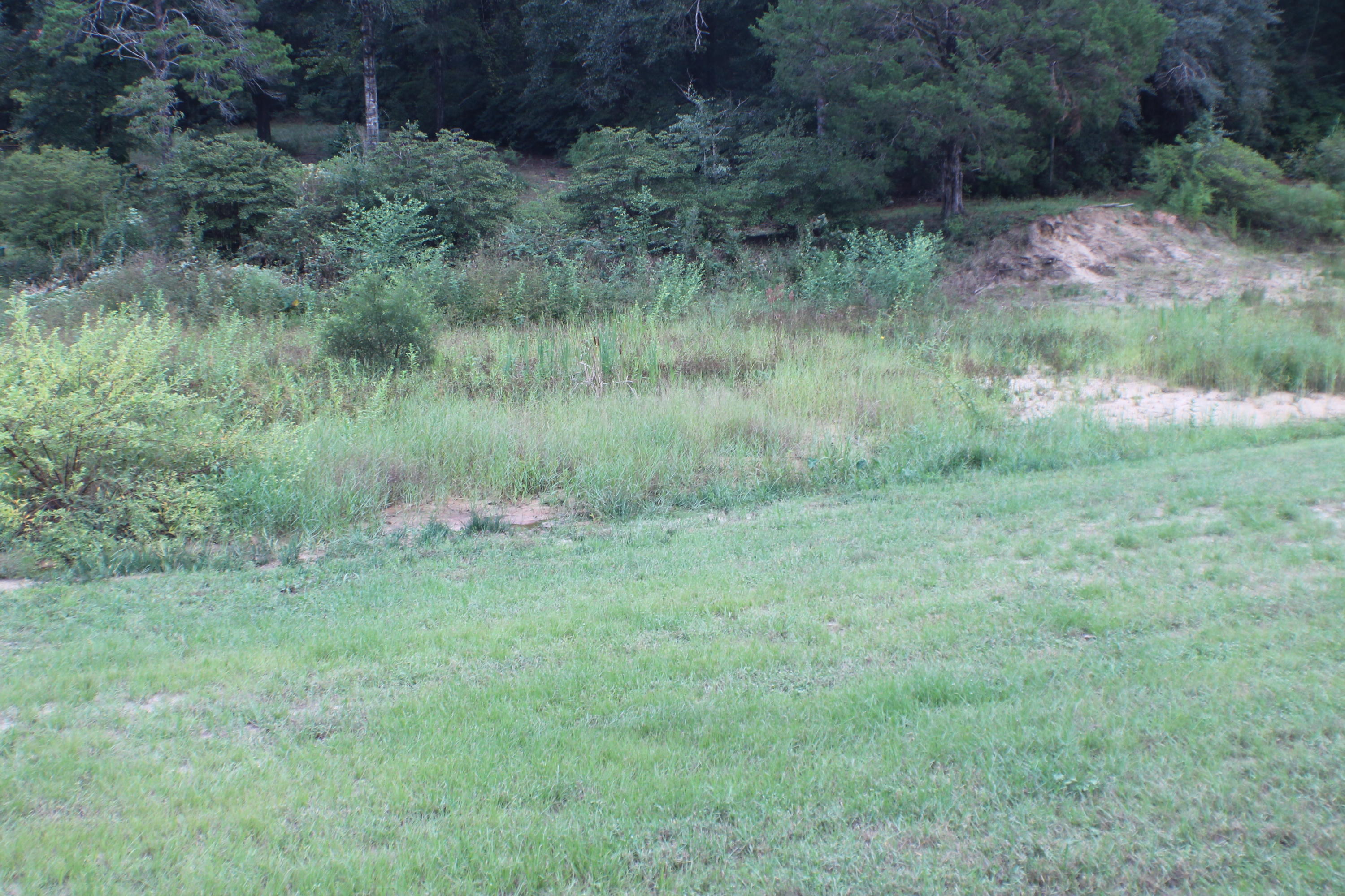 MCLAUGHLIN & HARRIS - Residential Lease