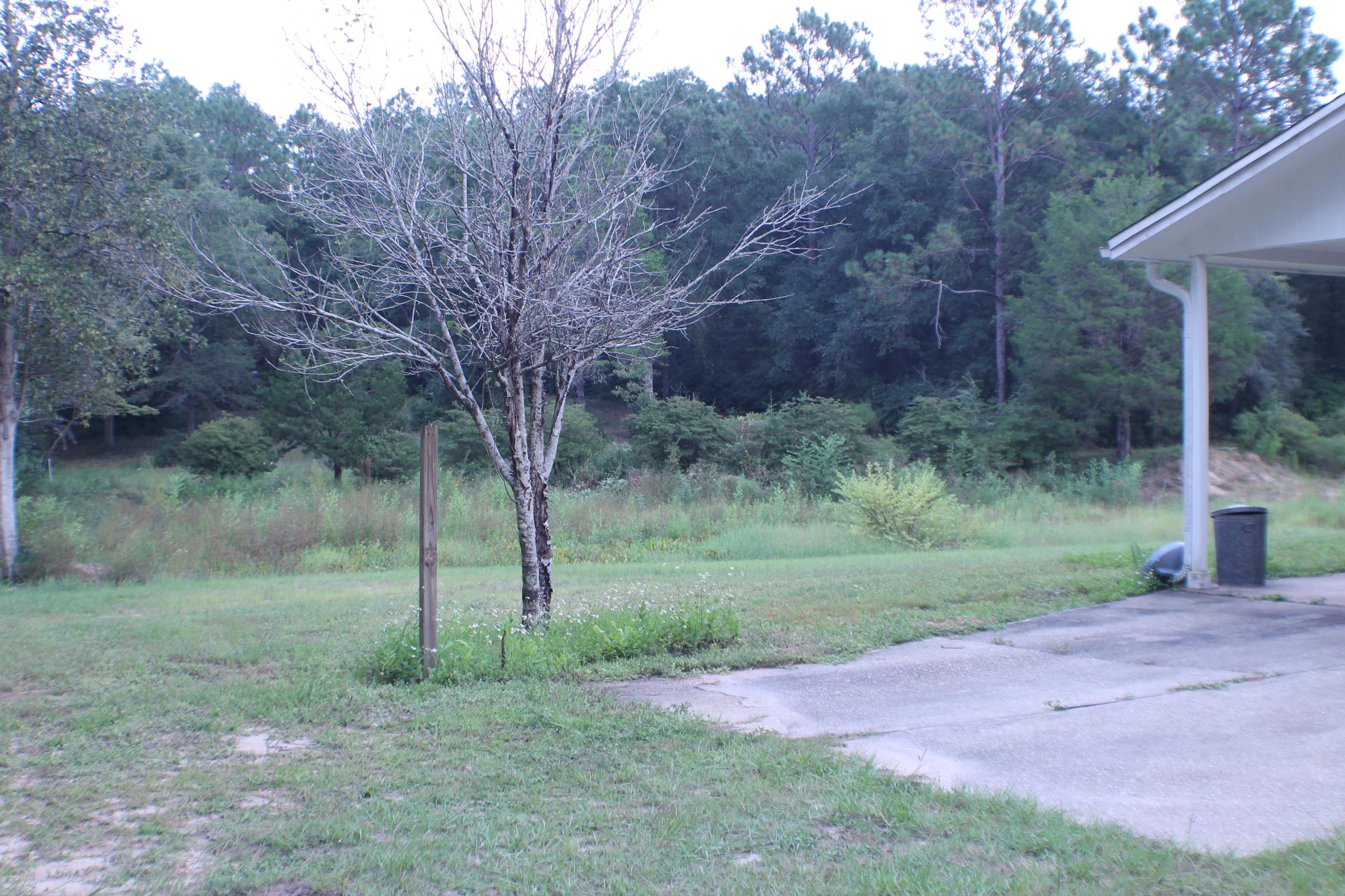 MCLAUGHLIN & HARRIS - Residential Lease