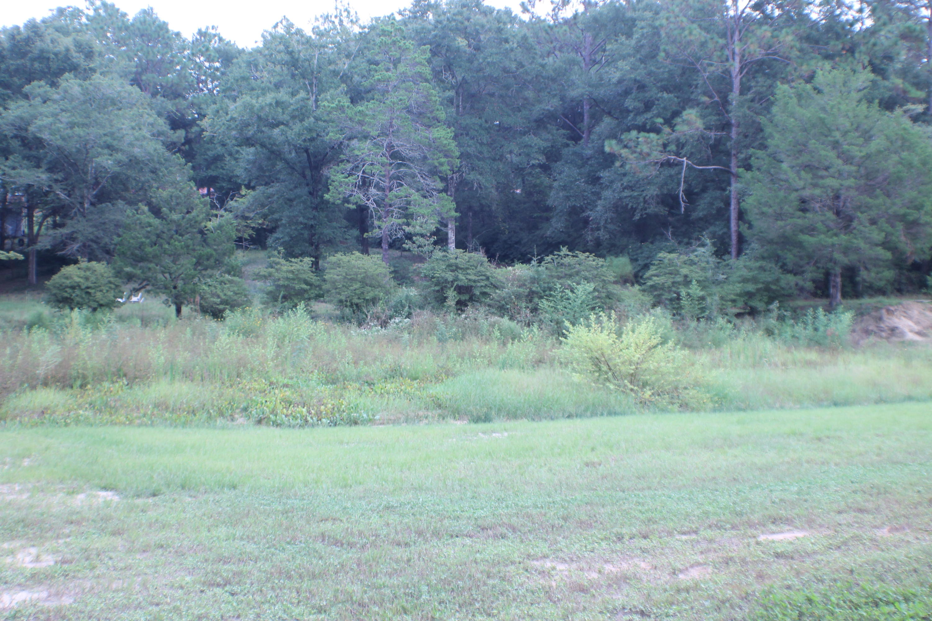 MCLAUGHLIN & HARRIS - Residential Lease