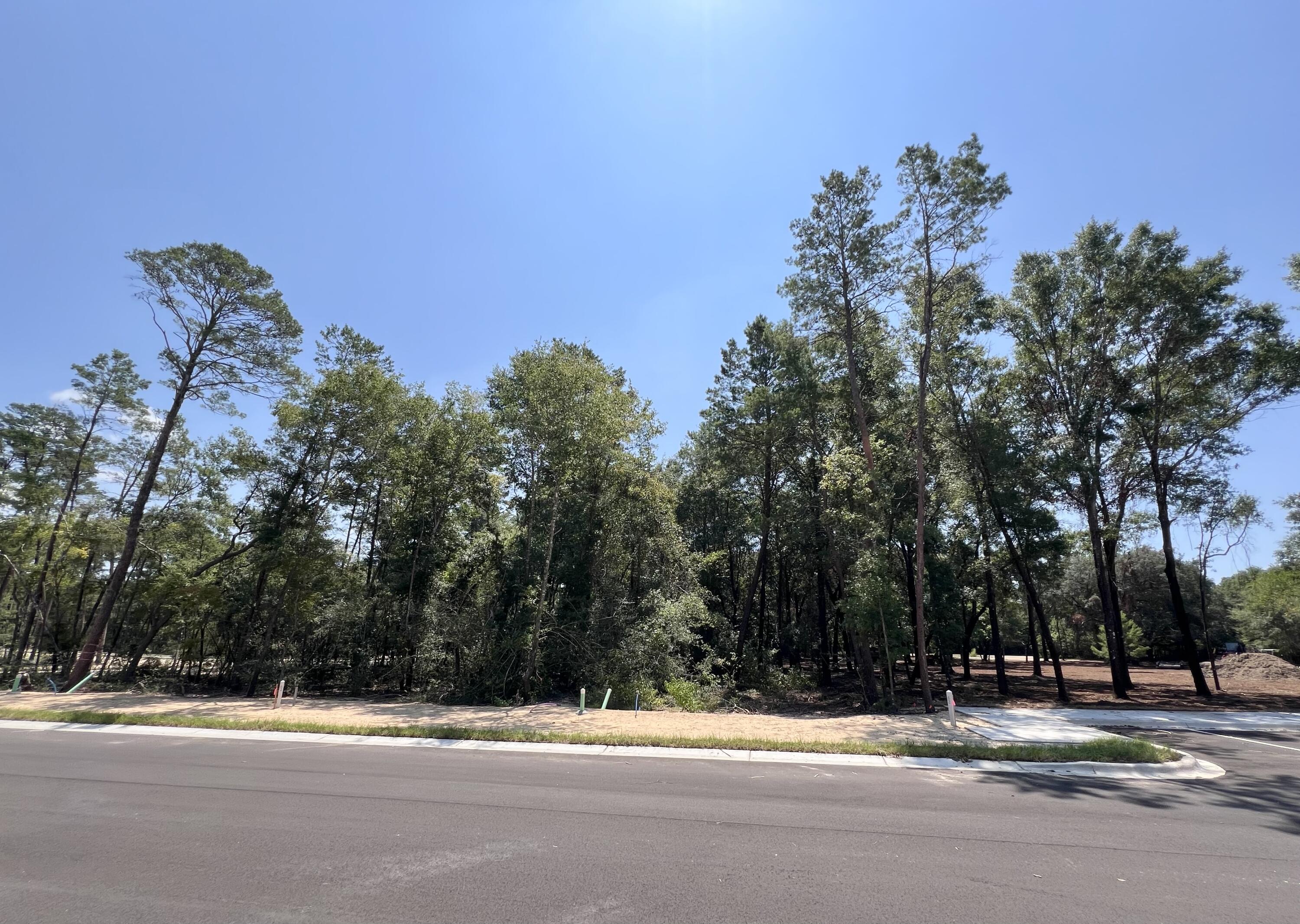 Deer Moss Creek - Land