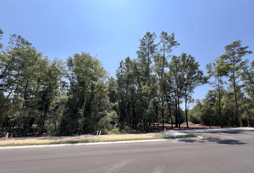 Beautiful lot in the desirable and new Deer Moss Creek PH 11! Deer Moss Creek(r) is an 1,100- acre, master-planned, mixed-use community in Niceville, FL. Community plans include a nature trail, bike lanes, parks, pools, office and retail space. Sidewalks are 5' wide and home plans must be approved by the Town Architect. Lot 62 backs up to a green area. Build your dream home in the beautiful Deer Moss Creek community!