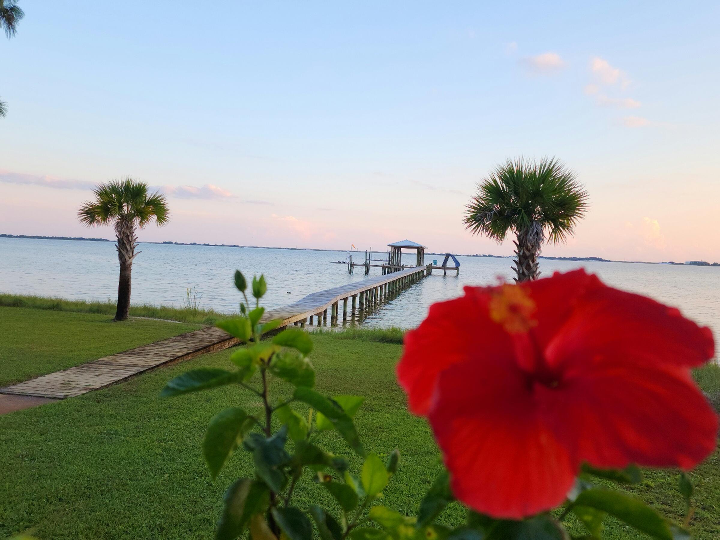 FOREST SHORES - Residential