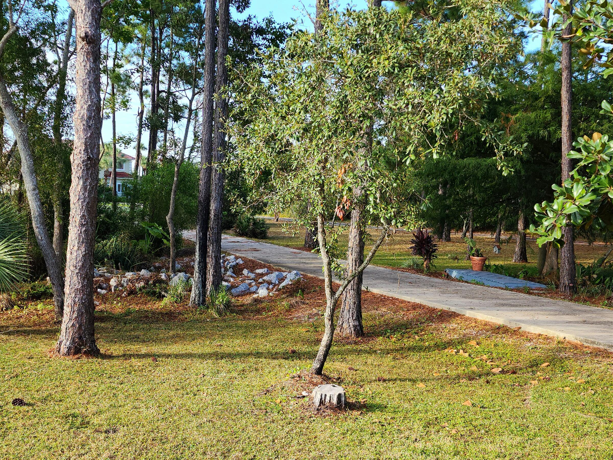 FOREST SHORES - Residential