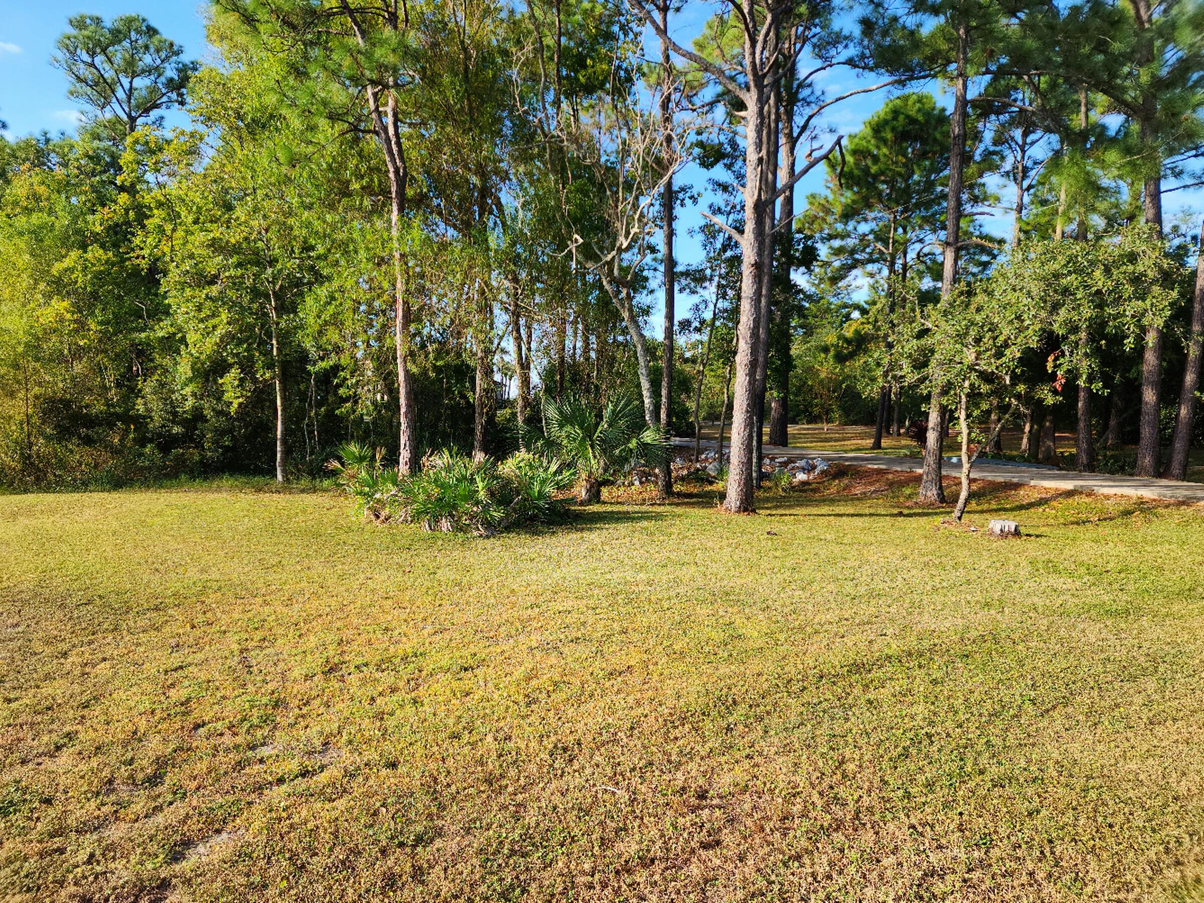 FOREST SHORES - Residential