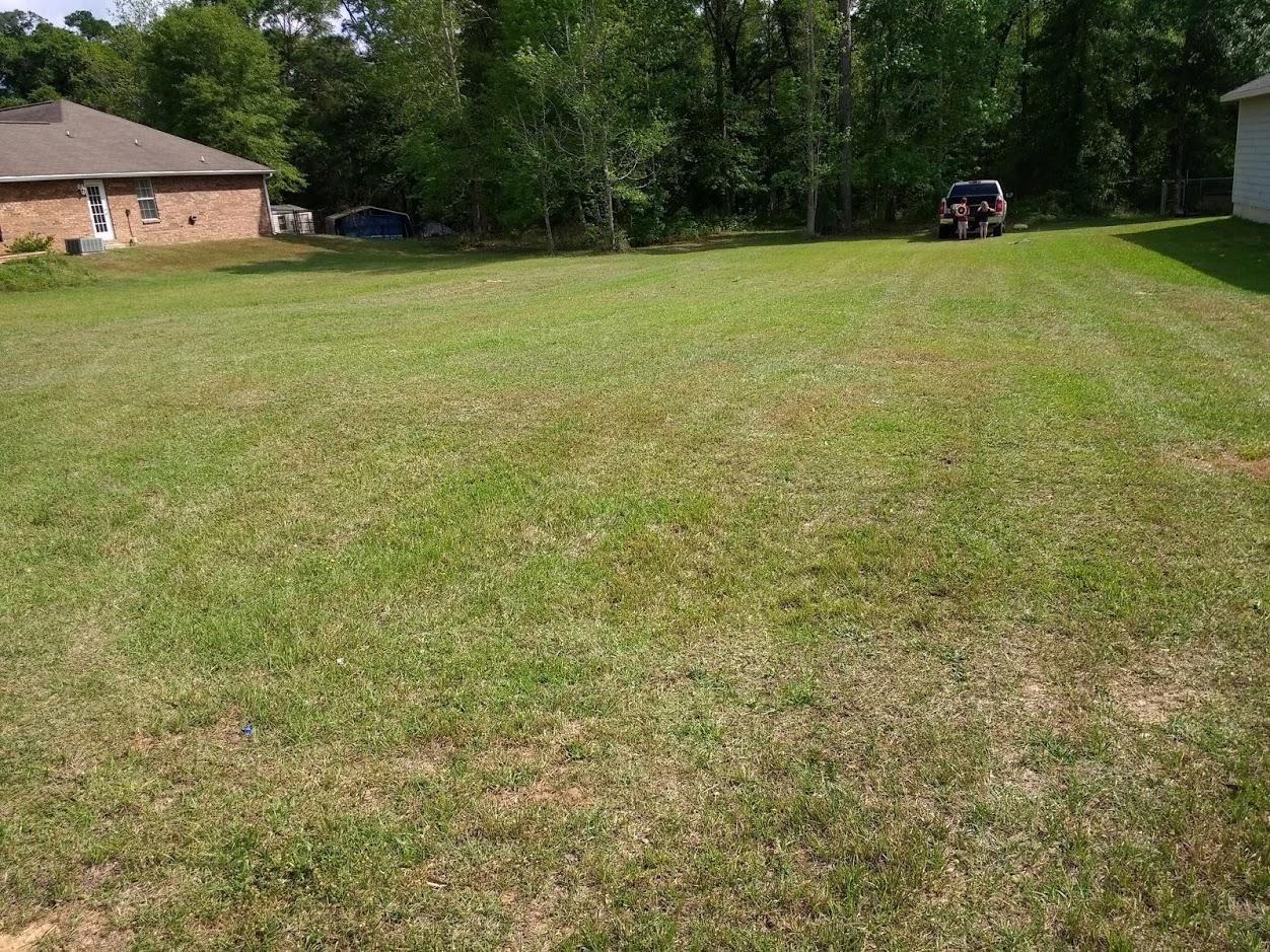 PINEY WOODS EST - Land