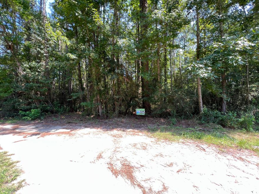 Beautiful lot to build your dream home or bring you manufactured home. 20 minutes to the gorgeous white sand beaches, shopping & dining. No HOA. Enjoy the feeling of rural living while still 10 minutes from the town of Freeport.