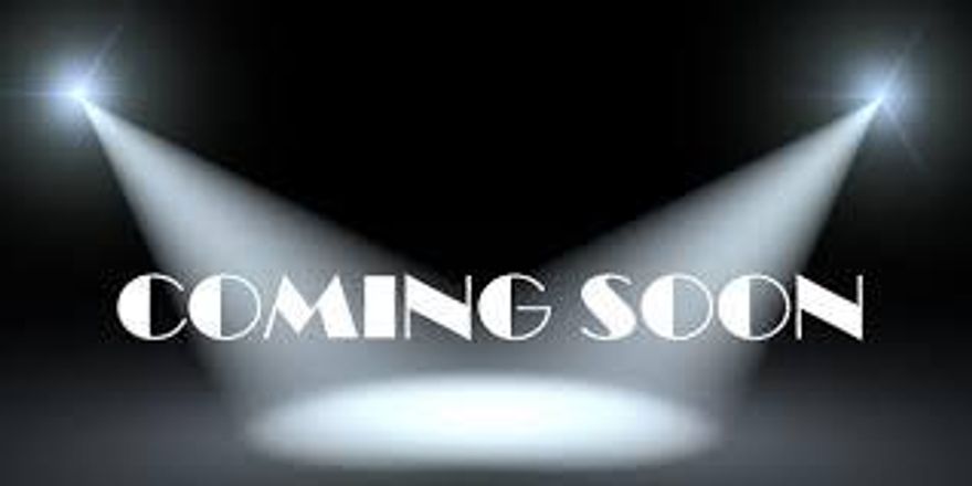 Welcome Home to Lake side living! Whoa entertain either in on the deck which over looks the lake or the huge living room with bay window, split bedroom floor plan, master on main floor with full bath and 2 bedrooms upstairs and full bath. New renovated Kitchen with new cabinets, new counters and new stainless appliances. Washer and dryer included! Need more...Stay dry under a new roof installed just in time for the weekend (Installed 10/29/2019). New hot water heater 10/2019. Call your favorite Realtor before it's gone!