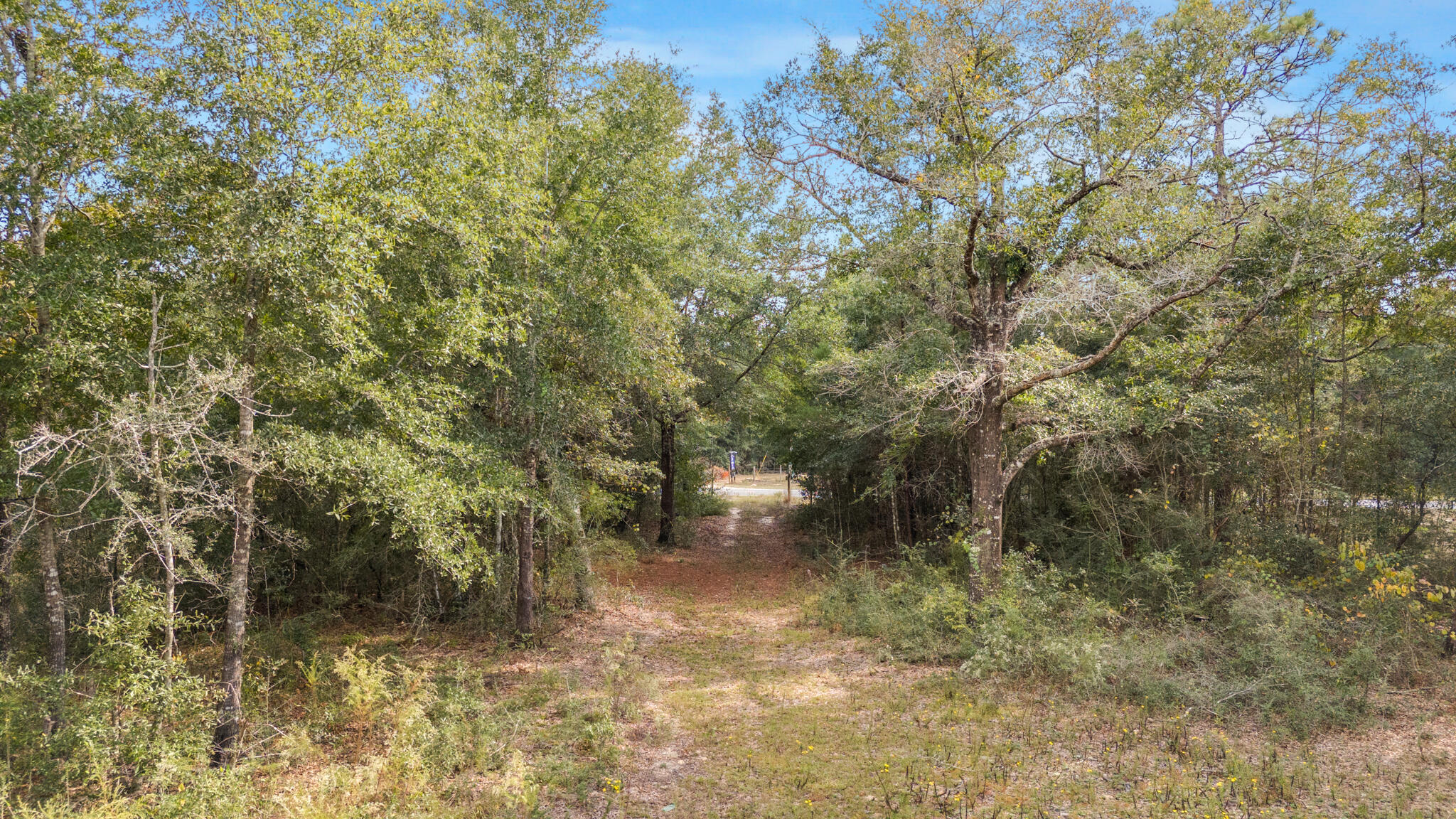 SHOAL RIVER FARMS UNREC - Residential