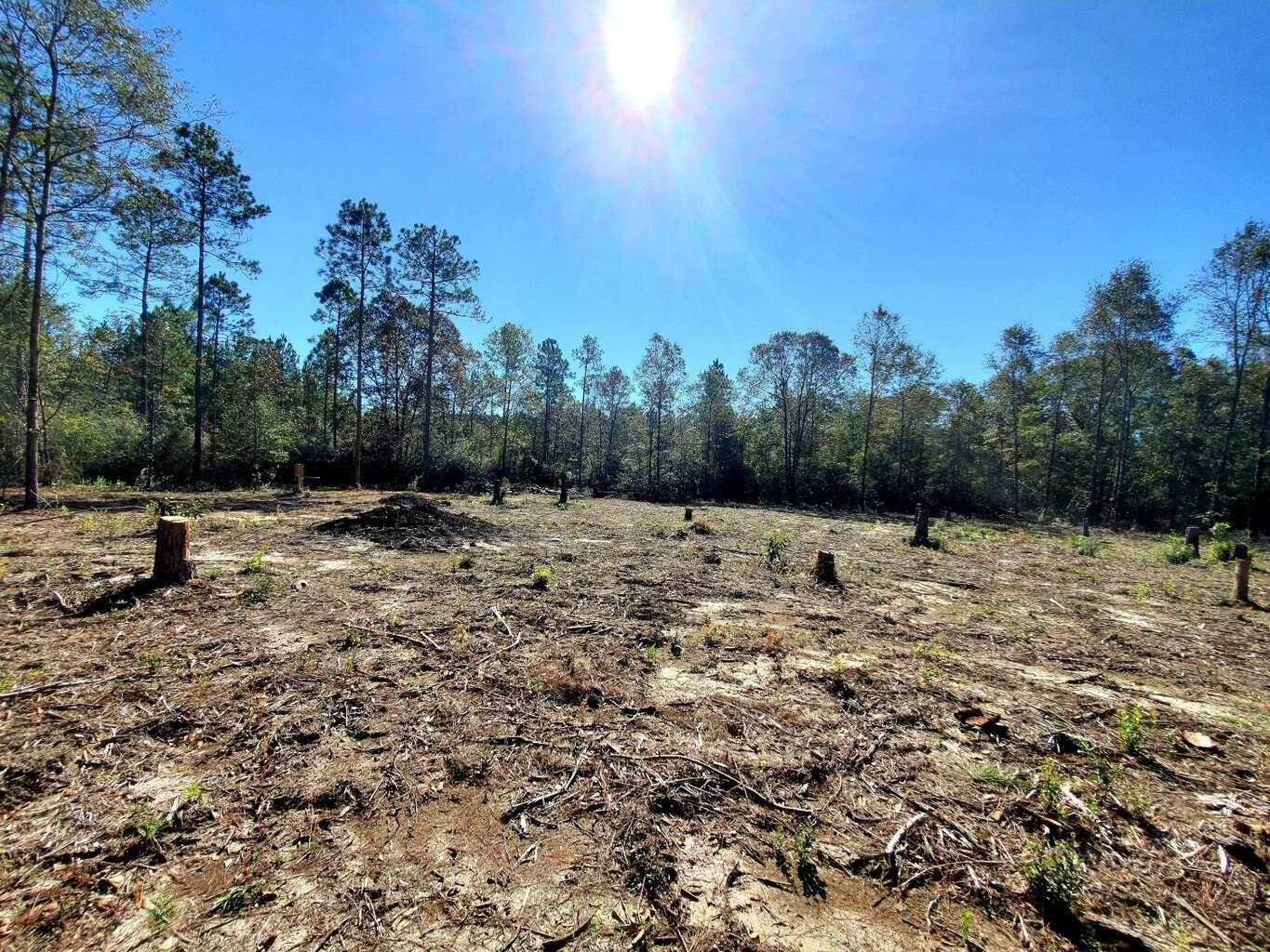 Welcome to your new homesite and recreational playground all in one! This 10 acre parcel has underground power, and also has a new private well on site. This property is just minutes from Blackwater River State Forest and many other outdoor enthusiast sites. There is also a stunning view of the cotton fields across the street. Call today for your tour!