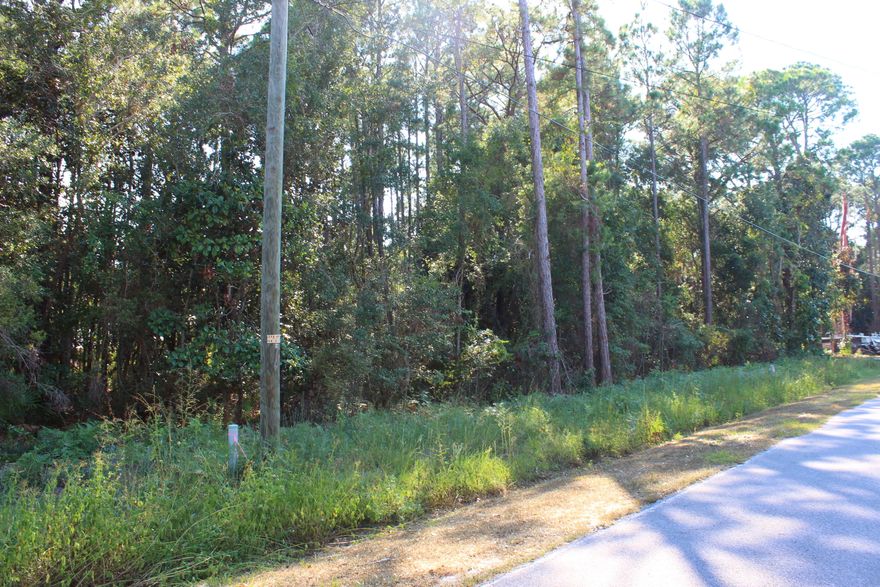 Perfect spot for your own little piece of Paradise. Beautiful neighborhood with no HOA! Prime area between Destin and Panama City. Directly across the street from the Bay. Very inviting location. Quiet, close to shopping, fishing, boating, paddle boarding and much more. You are seriously 7 minutes from the Gulf. There are two adjoining lots that can be purchased together or as a single lot. Side by side. Definitely worth taking a look at. Million dollar homes across the street. So much potential.Hookups are available through Regional Utilities. Survey has been ordered.All dimensions are approximate and should be verified by the buyer.