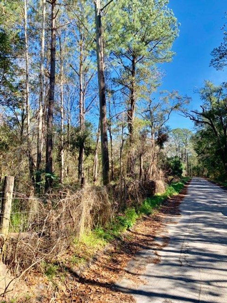Wooded, almost half acre lot with an In-Town location. Quaint neighborhood that is close to schools, shopping and the famous Lake DeFuniak. Easy access to Highway 331, Highway 90 and Interstate 10. Property is partially fenced with small wire fencing. Come build your new home in one of the best small towns in Florida (MSN.com)!