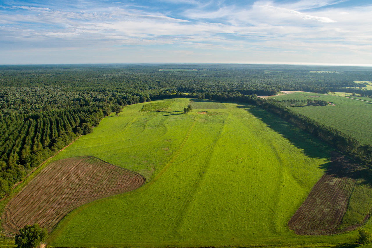Magnolia Ranch - Farm