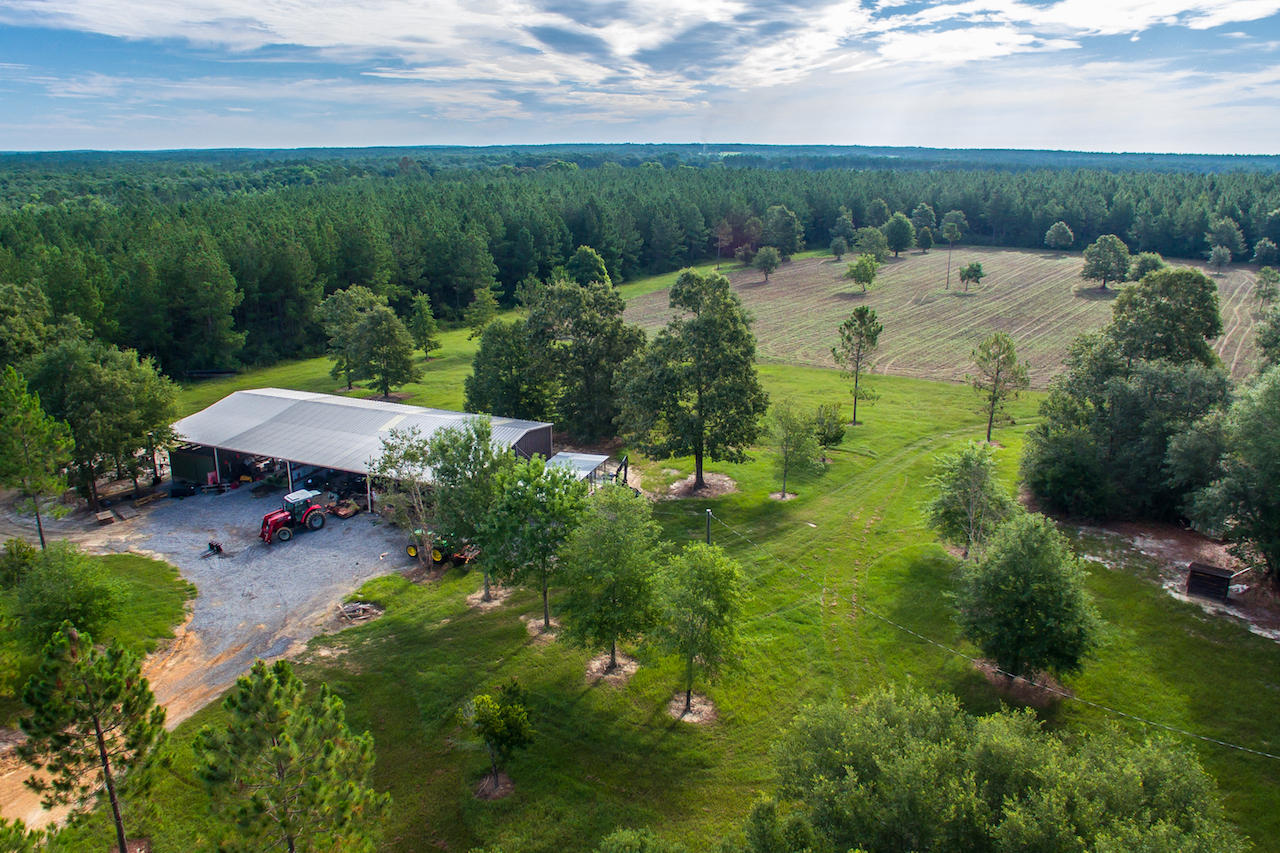 Magnolia Ranch - Farm