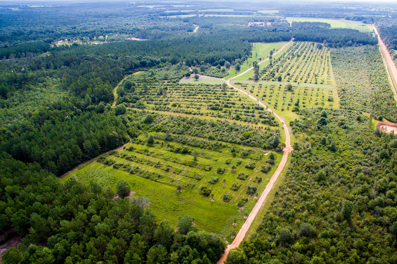 Magnolia Ranch - Farm