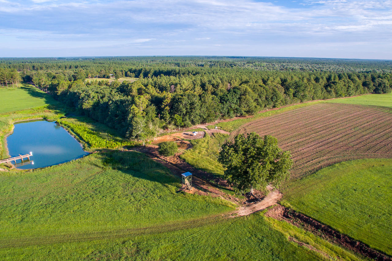 Magnolia Ranch - Farm