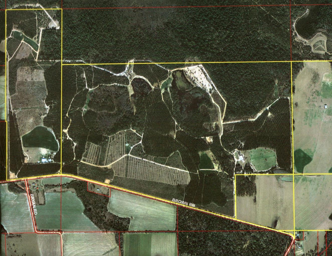 Magnolia Ranch - Farm